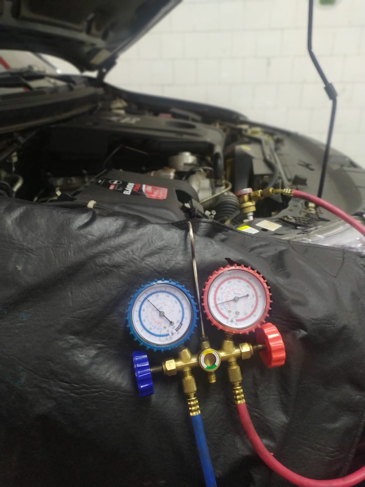 WhatsApp Image 2021-10-13 at 16.36.00.jpeg